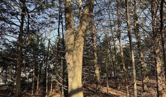 Pecks Drive N, Bergman, AR 72615