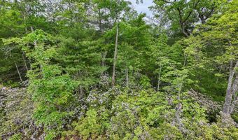 399 Shell Stand Rd, Almond, NC 28702