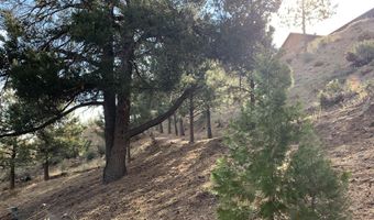 36796 Goldshot Creek Rd, Mountain Center, CA 92561