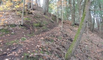 Lot 20 -20.3 Farr Road Lot 20-Lot 20.3 Farr Rd and Lot 11-11-1 Brook St, Chesterfield, NH 03466