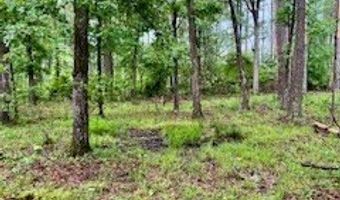 450 Apple Trl, Bogue Chitto, MS 39629