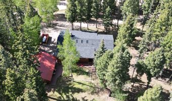 141 Via Del Rey, Angel Fire, NM 87710
