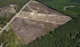 Lot 3 State Highway 790, Ackerman, MS 39735