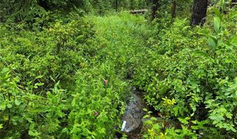 Cataract Creek Road, Basin, MT 59631