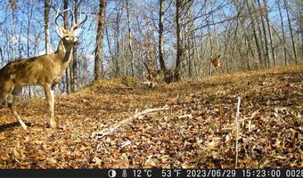 748 Elam Branch Rd, Barbourville, KY 40906