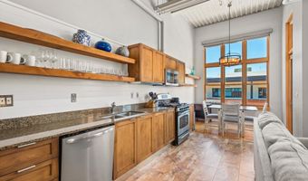 231 Robinson St 310, Basalt, CO 81621