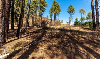 103 Pine Dr, Bayfield, CO 81122