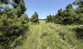 0001 E 1960 Rd, Antlers, OK 74523