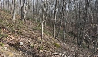 Lime Plant Road lot 6, Appomattox, VA 24522
