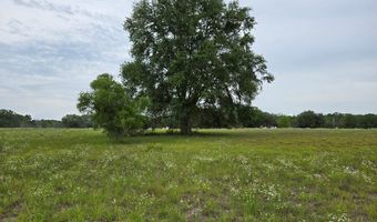 000 15th St, Bell, FL 32619