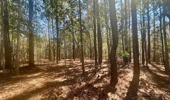 0 Tervin Mill Rd, Andalusia, AL 36421