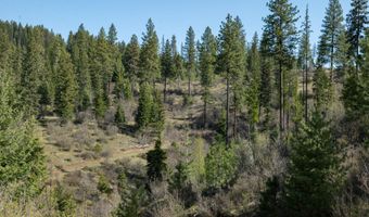 NKA 262 Ac N Side Rd, Calder, ID 83808