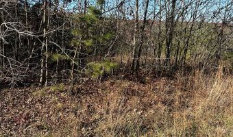 Lot 65 Panther Falls Rd, Wilder, TN 38589