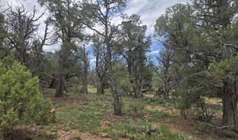 435 S Arizona Rd, Ash Fork, AZ 86320
