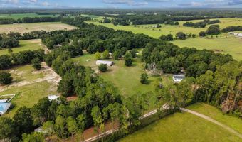 4689 NW 26th St, Bell, FL 32619