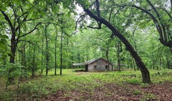 153 Private Road 204-184, Alton, MO 65606