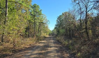 TBD Raw Land, Bates, AR 72958