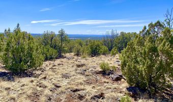 74 County Road 8056, Concho, AZ 85924