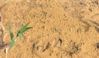 618 CR 2619, Alto, TX 75925