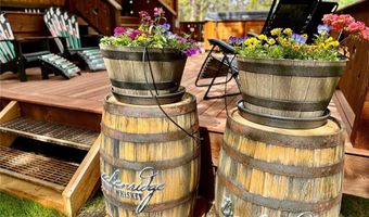 115 WILLOW Ln, Breckenridge, CO 80424