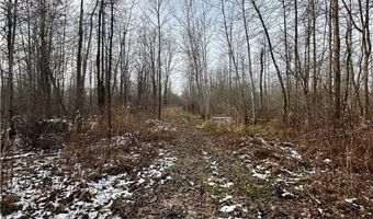 Sanborn Road, Ashtabula, OH 44004
