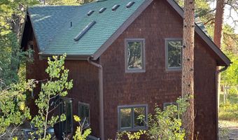 251 Haugen Slide Rd, Allenspark, CO 80510