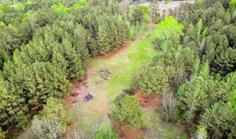 6995 Cobbham Rd, Appling, GA 30802
