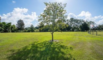 42415 BIG OAK Rd, Altoona, FL 32702