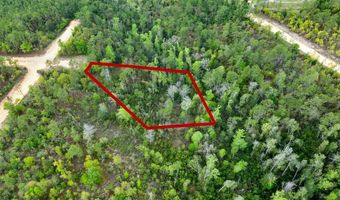 CASTLE CIRCLE, Alford, FL 32420