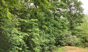 951 County Road 206, Alton, MO 65606