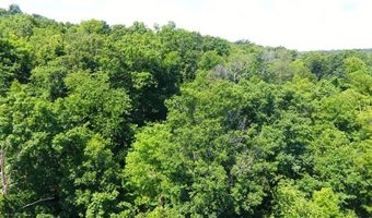 TBD Wilderness WY, Anderson, MO 64831