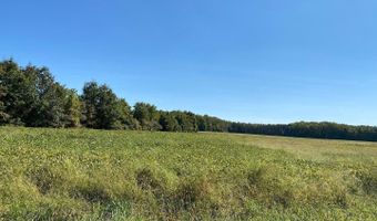 CHANCE Road, Clayton, DE 19938