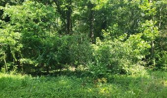Wilkins Road, Alton, VA 24520