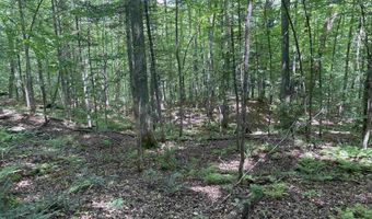 101 Jug Brook Rd, Cabot, VT 05647