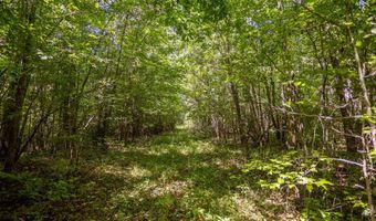 23680 Highway 58, Baskerville, VA 23915