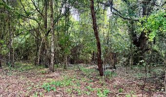 1243 Silcox Rd, Ashford, AL 36312