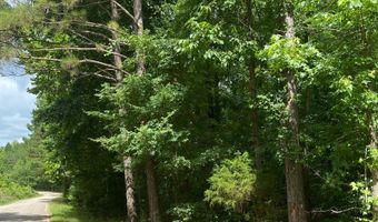 1386 Elvin Weeks Rd, Bethel Springs, TN 38315