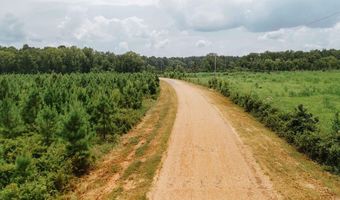 Copeland Ridge Road, Arkadelphia, AR 71923
