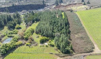 Three Trees Ln, Amity, OR 97101