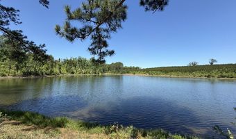 county road 222, Abbeville, AL 36310