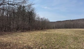 Lot 2 Doig Hollow Road, Andes, NY 13731