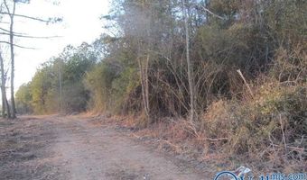 6 Razorback Way, Albertville, AL 35951