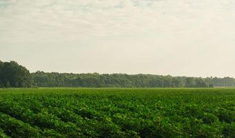 1037 Cr 300, Big Creek, MS 38914