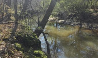 Bogue Chitto Road, Bogue Chitto, MS 39629