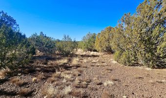 29 Co Rd 3199, Vernon, AZ 85940
