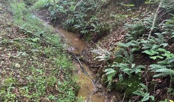 Lot 2B Gidsville Road, Amherst, VA 24521