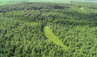 6075 Curtis Rd, Batesville, MS 38606