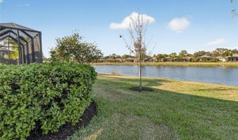 331 CEDAR FALLS Dr, Apollo Beach, FL 33572