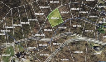 Block A Lot 2 SWANNANOA LN, Afton, VA 22920