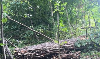 38 Porter Ct, Bristol, CT 06010